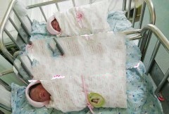 恭喜蓝先生夫妇喜得双胞胎