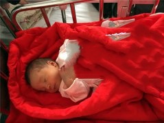 恭喜广州L女士，喜得贵子