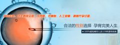 如何保护好卵巢健康